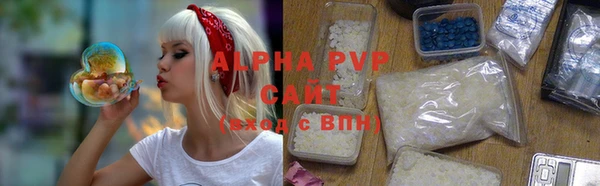 индика Кукмор