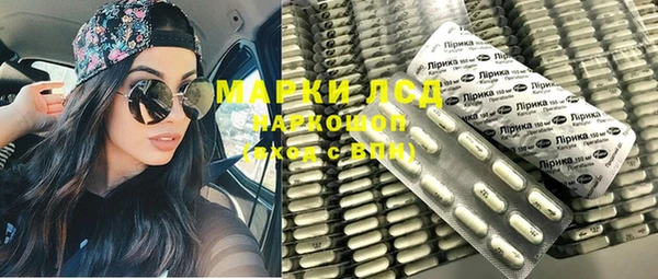 индика Кукмор