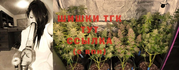 индика Кукмор