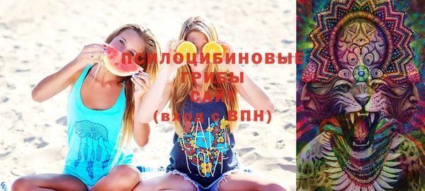 индика Кукмор