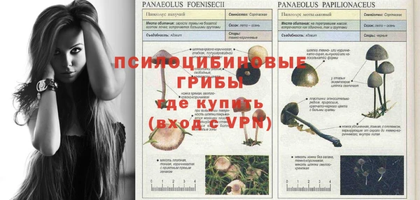 хмурый Кулебаки