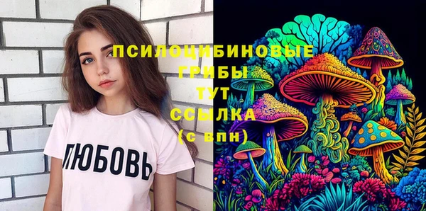 индика Кукмор