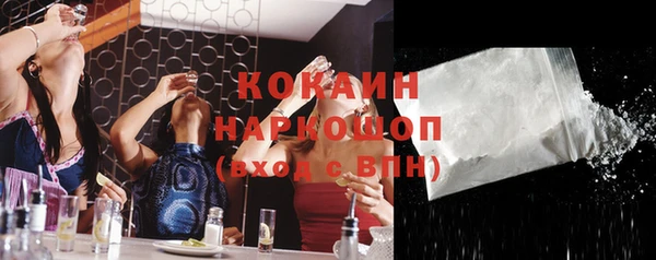 индика Кукмор