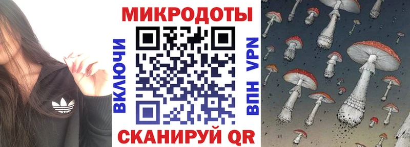 цены   Мариинский Посад  Псилоцибиновые грибы мицелий 
